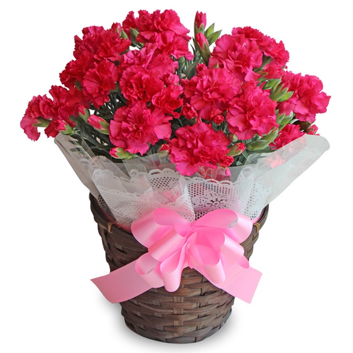 イメージ01｜岐阜中津川 ちこり村｜JAF PLUS 2026春