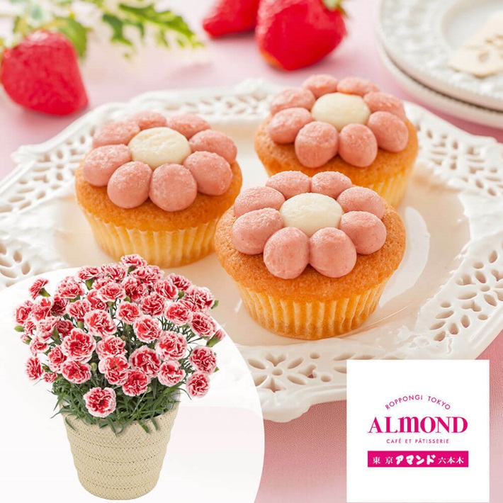 イメージ01｜千趣会の花とギフトの専門ショップ イイハナ・ドットコム｜JAF PLUS 2026春