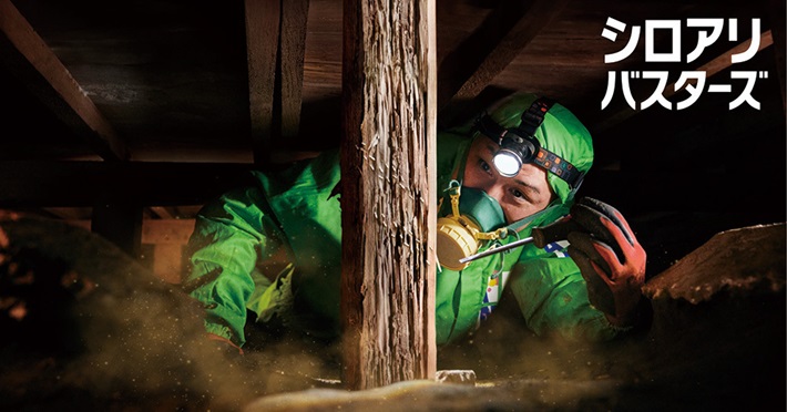 イメージ01｜アサンテ｜JAF PLUS 2026春