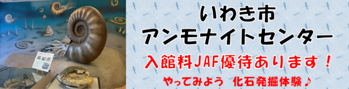 バナー