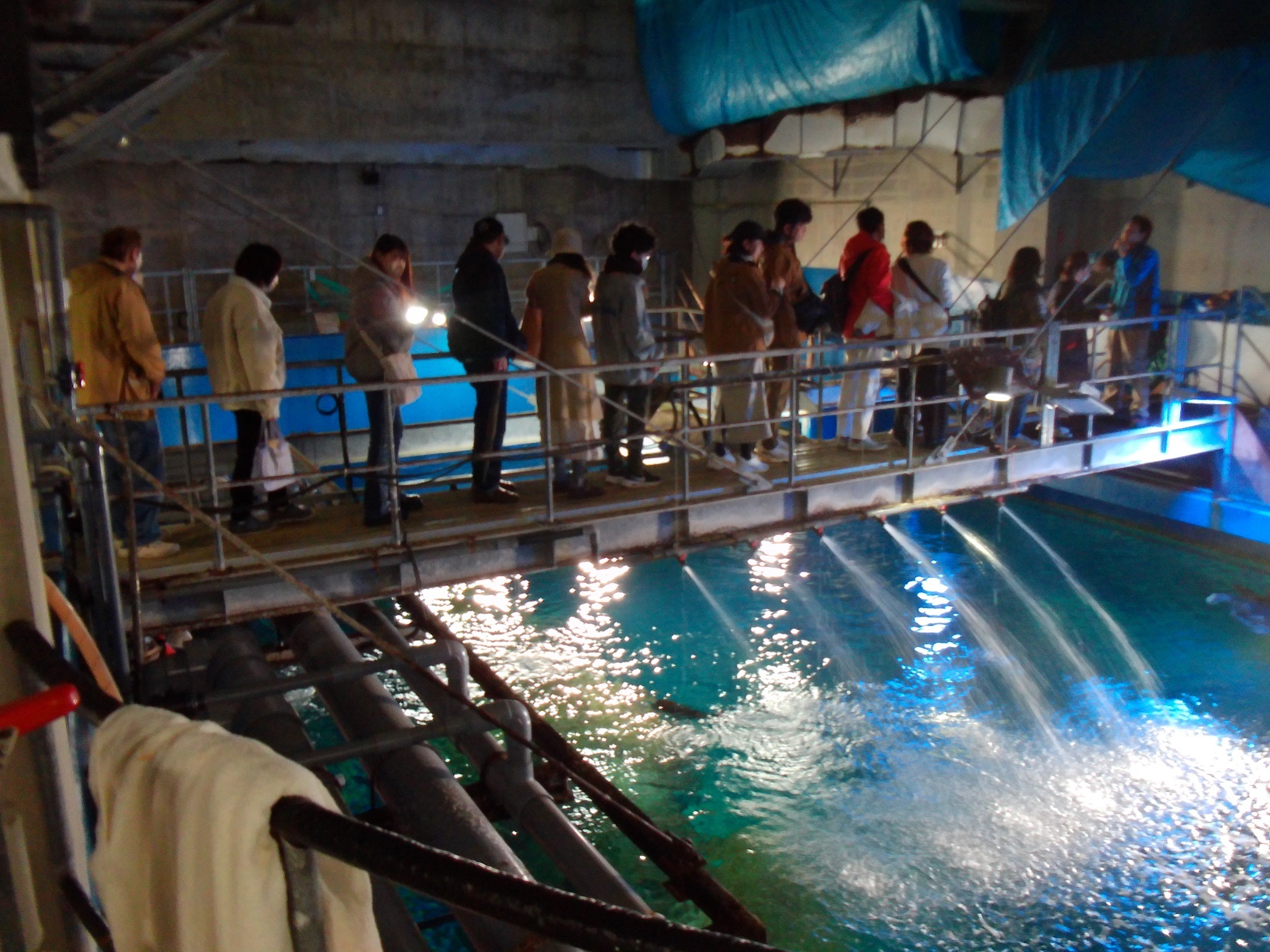 JAFフェスティバル東北 in 男鹿水族館GAO「裏側見学ツアー」 | JAFナビ