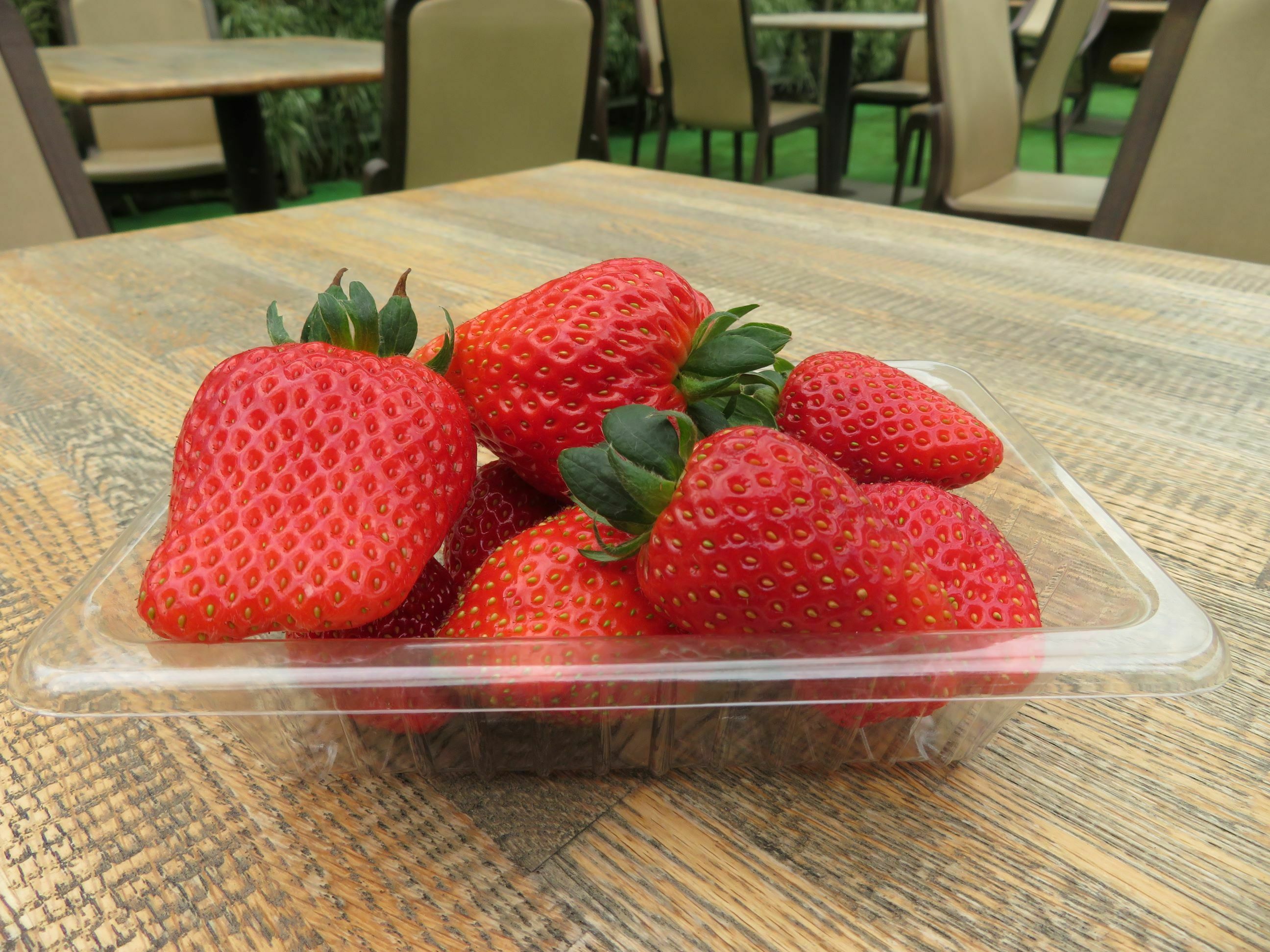 JAFデー in フルーツランド白根グレープガーデン（新潟県新潟市：3月7