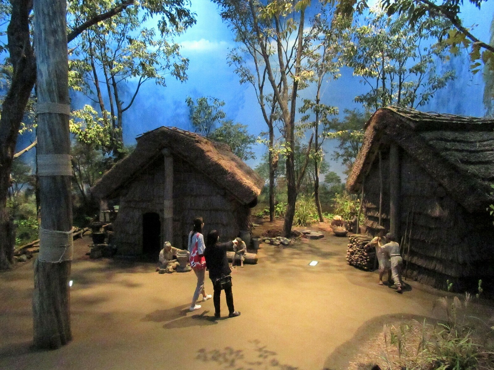 新潟県立博物館イメージ