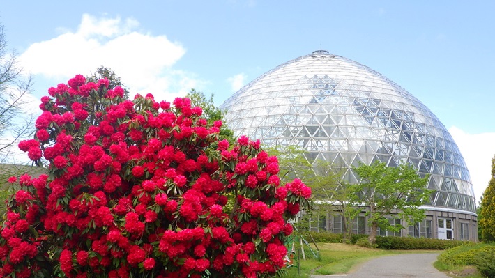 新潟県立植物園