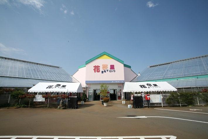 道の駅　花夢里にいつ