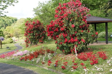 新潟県立植物園