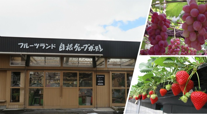 フルーツランド　白根グレープガーデン