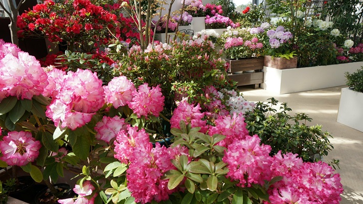 新潟県立植物園