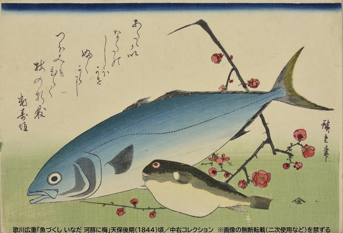 企画展イメージ