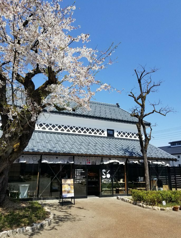 ドラスタイメージ