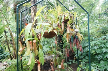 新潟県立植物園