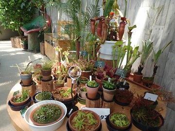 新潟県立植物園