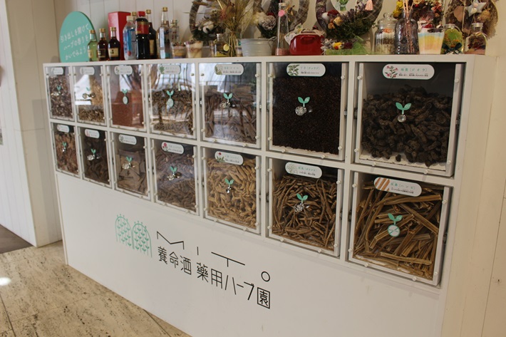 水戸市植物公園