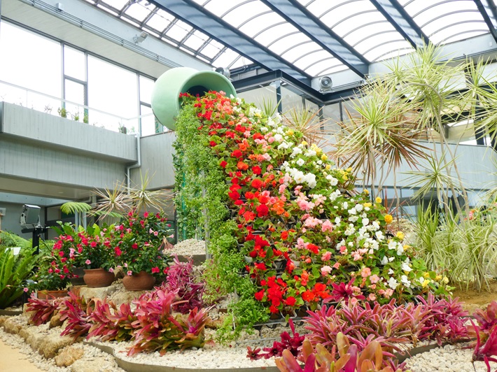 水戸市植物公園　温室