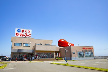 めんたいパーク大洗外観