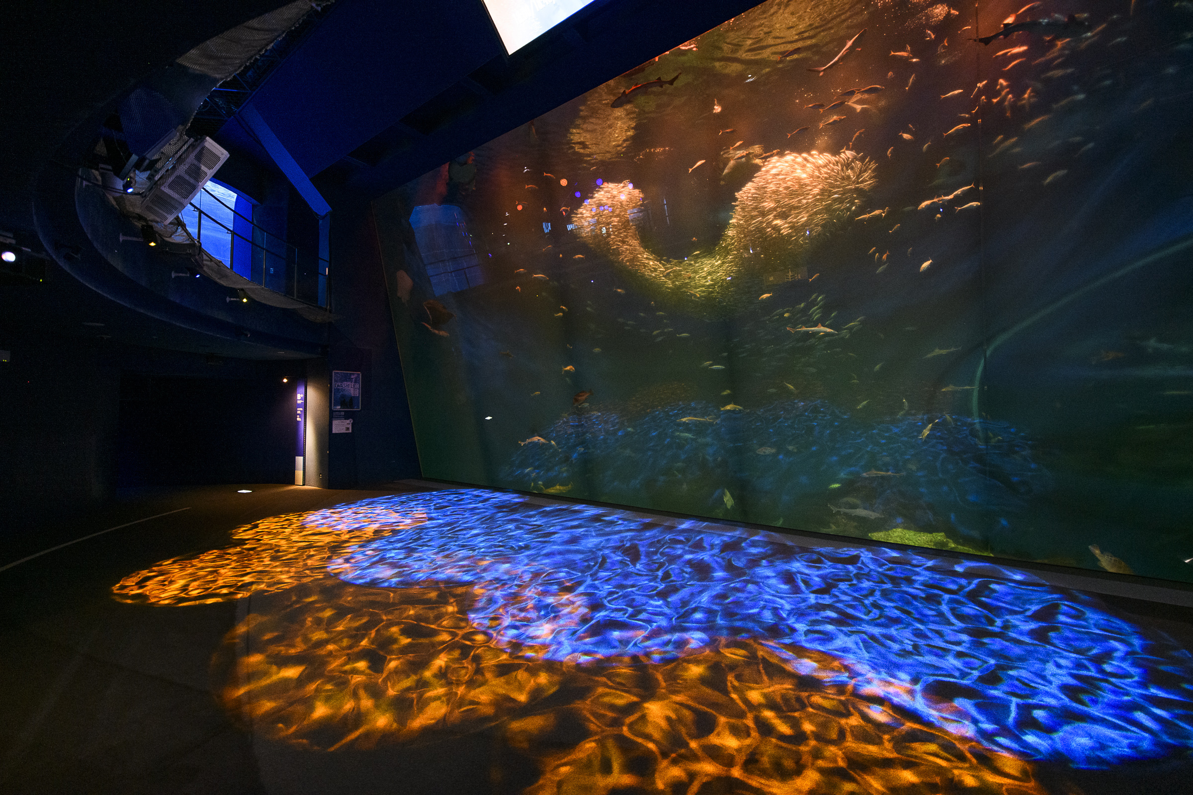 JAFデーinアクアワールド茨城県大洗水族館「貸切ペアナイト～静かな夜