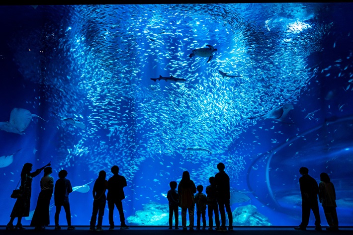 アクアワールド茨城県大洗水族館　BYツアー等画像