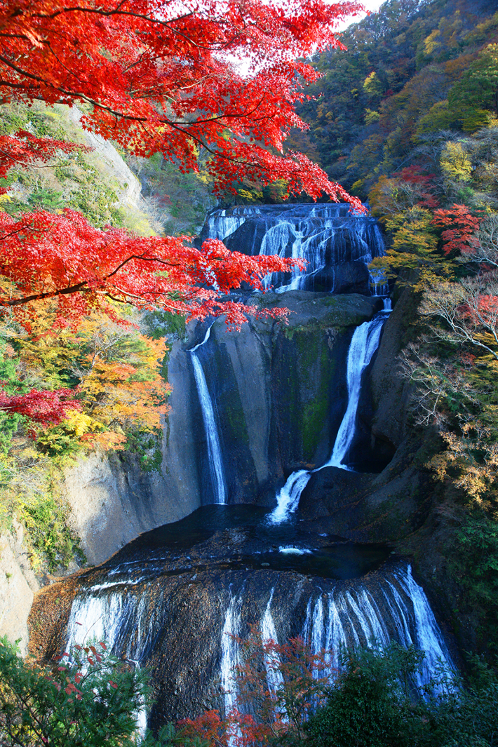 袋田の滝(秋)