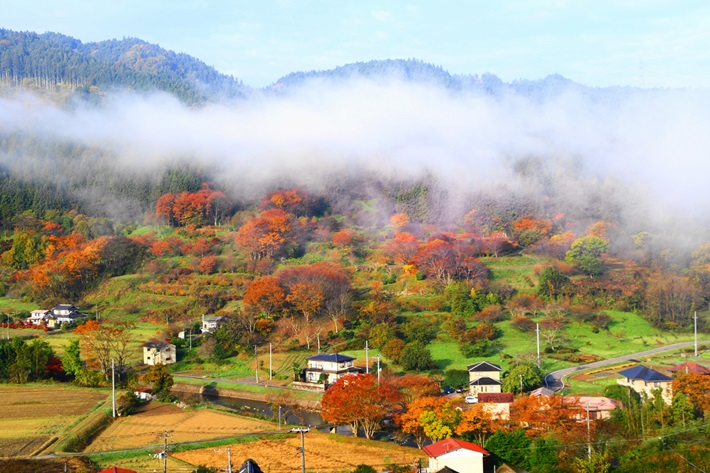 八溝山周辺地域定住自立圏 協議会