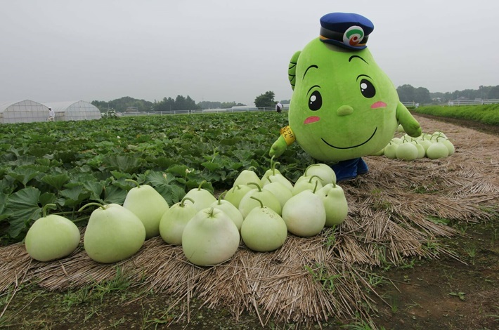 下野市写真
