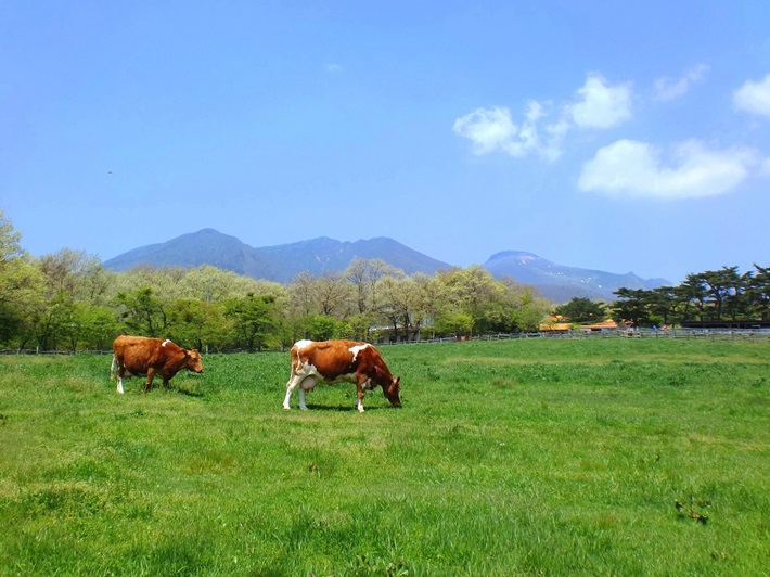 八溝山周辺地域定住自立圏 協議会