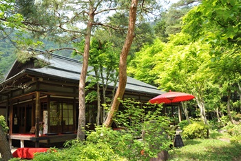 2026年八溝山ドラスタスポット