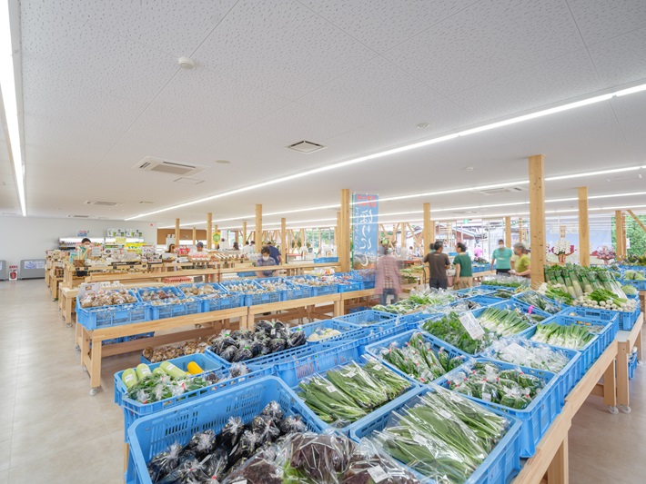 2026年八溝山ドラスタスポット