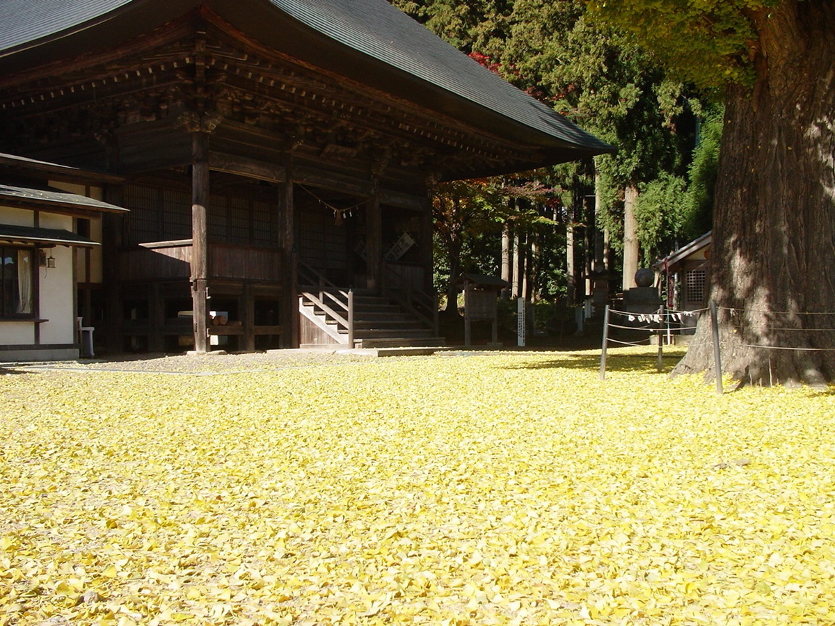 2026年八溝山ドラスタスポット