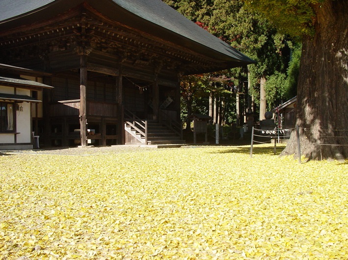 2026年八溝山ドラスタスポット