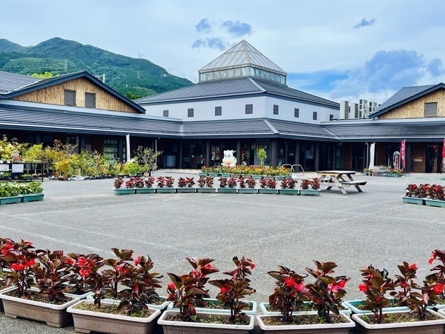 2026年八溝山ドラスタスポット