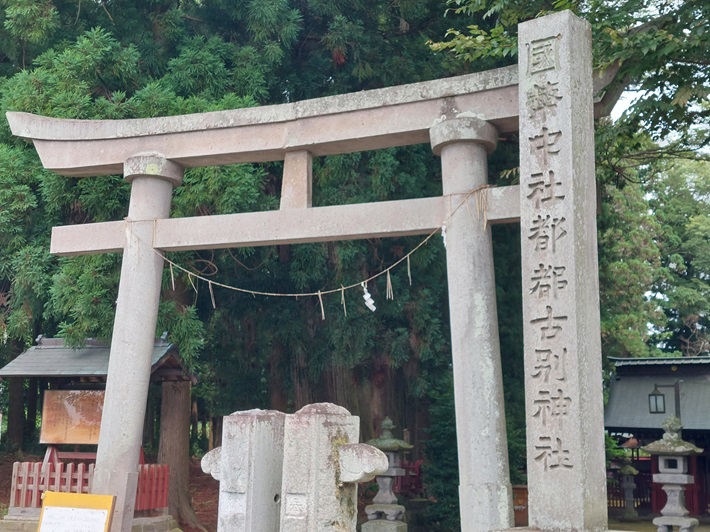 八溝山ドラスタ画像