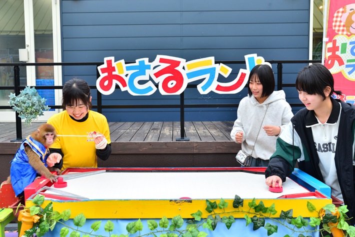 おさるランドアニタウン