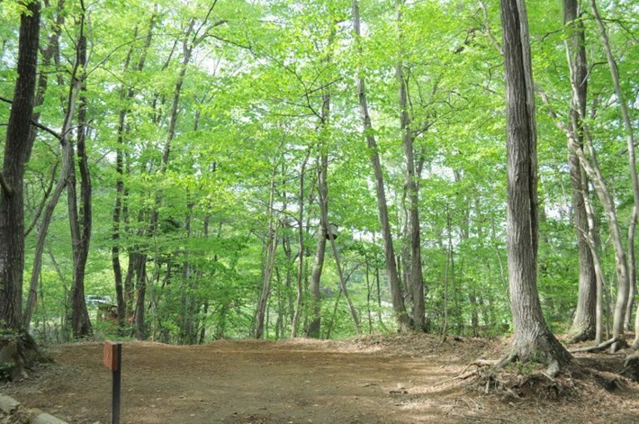 サンタヒルズキャンプ場