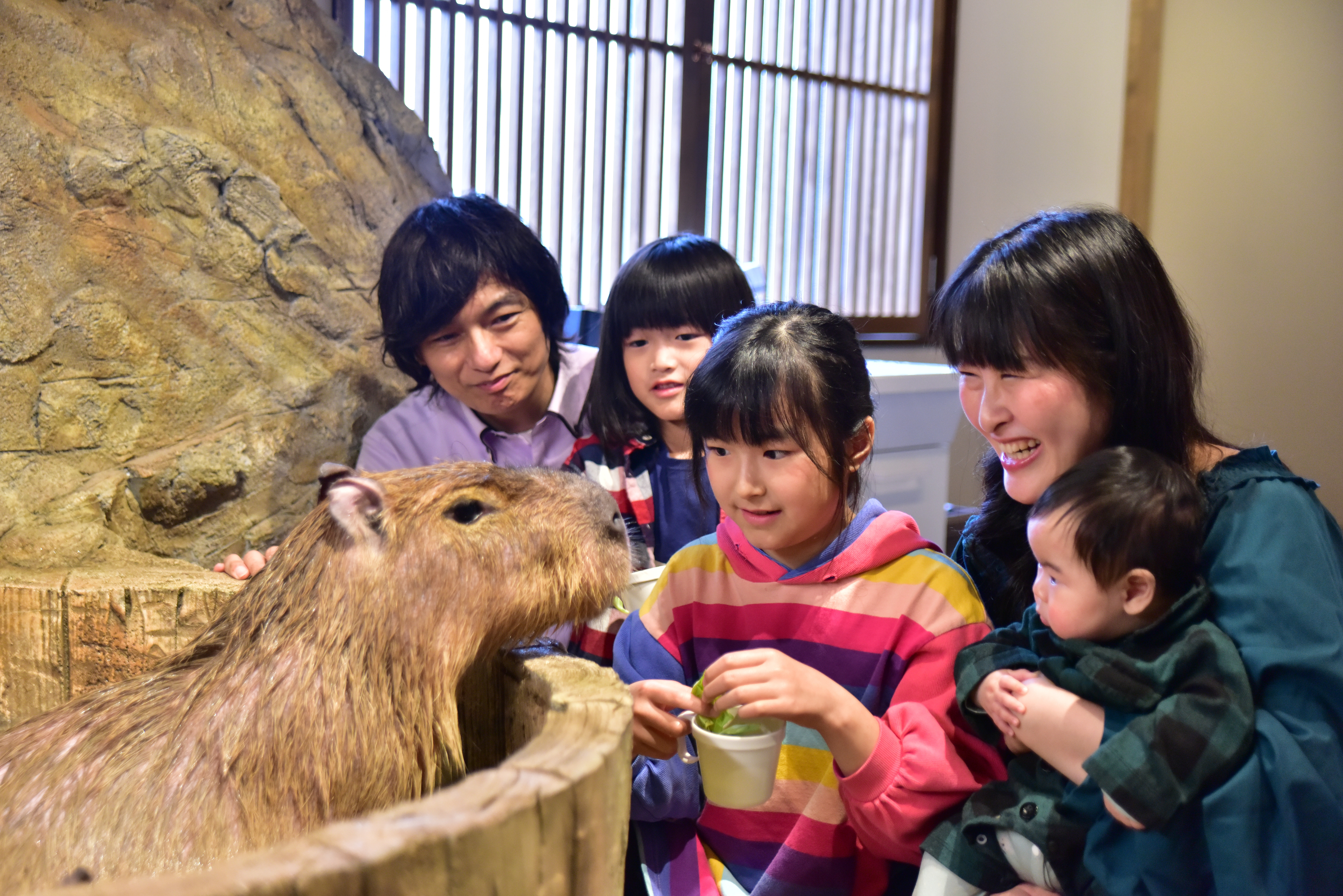 おさるランド＆アニタウン【おさるコイン1枚進呈】 | JAFナビ