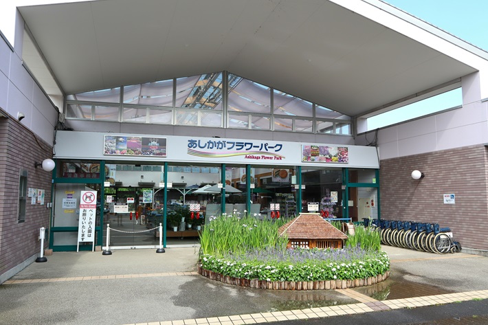あしかがフラワーパーク