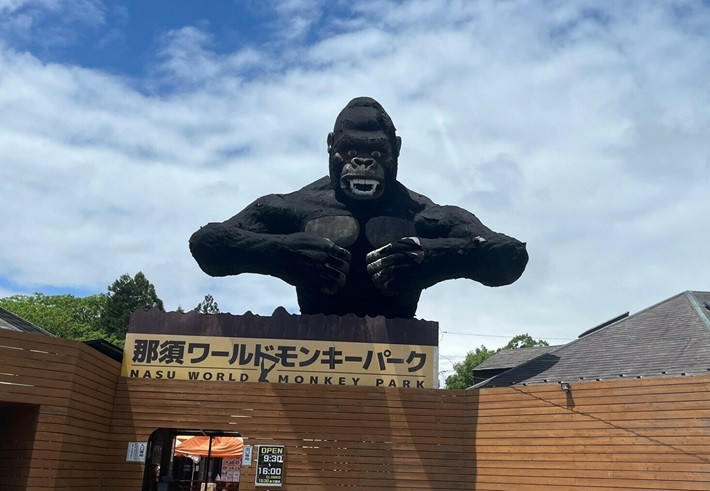 那須ワールドモンキーパーク