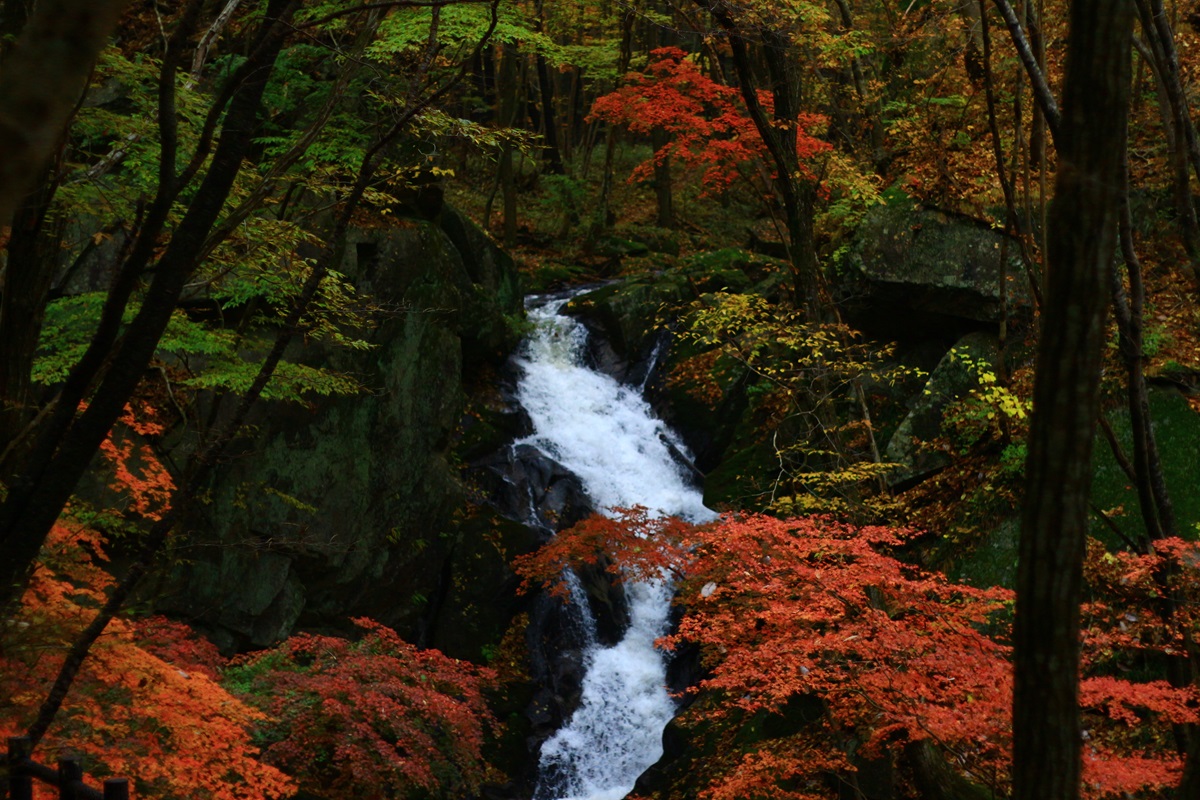 八溝山周辺地域ドライブスタンプラリー