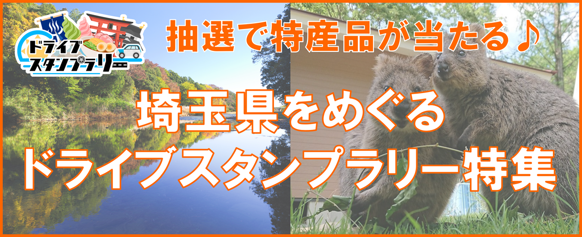 2026年度ドラスタLPページバナー