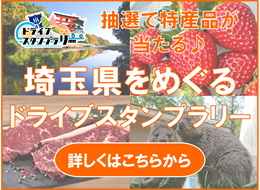 2026年度ドラスタLPページリード画像