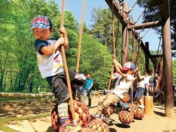 国営武蔵丘陵森林公園 冒険コース