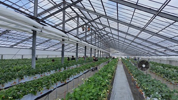 埼玉女子短期大学ドラスタスポット