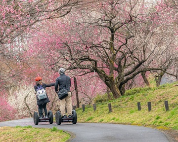 埼玉女子短期大学ドラスタスポット
