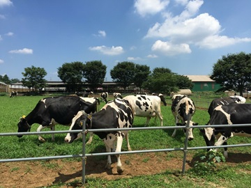 埼玉女子短期大学ドラスタスポット