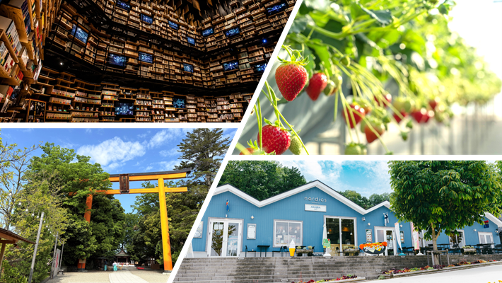 埼玉女子短期大学ドラスタ