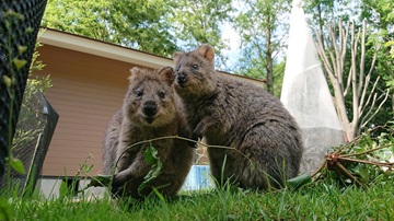 埼玉女子短期大学ドラスタスポット