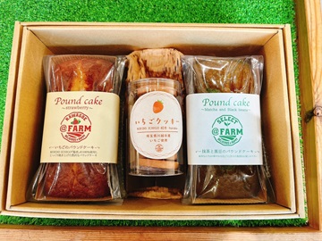 埼玉女子短期大学ドラスタスポット