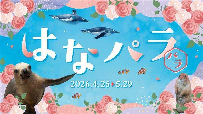 横浜・八景島シーパラダイス【ワンデーパス（水族館4施設+