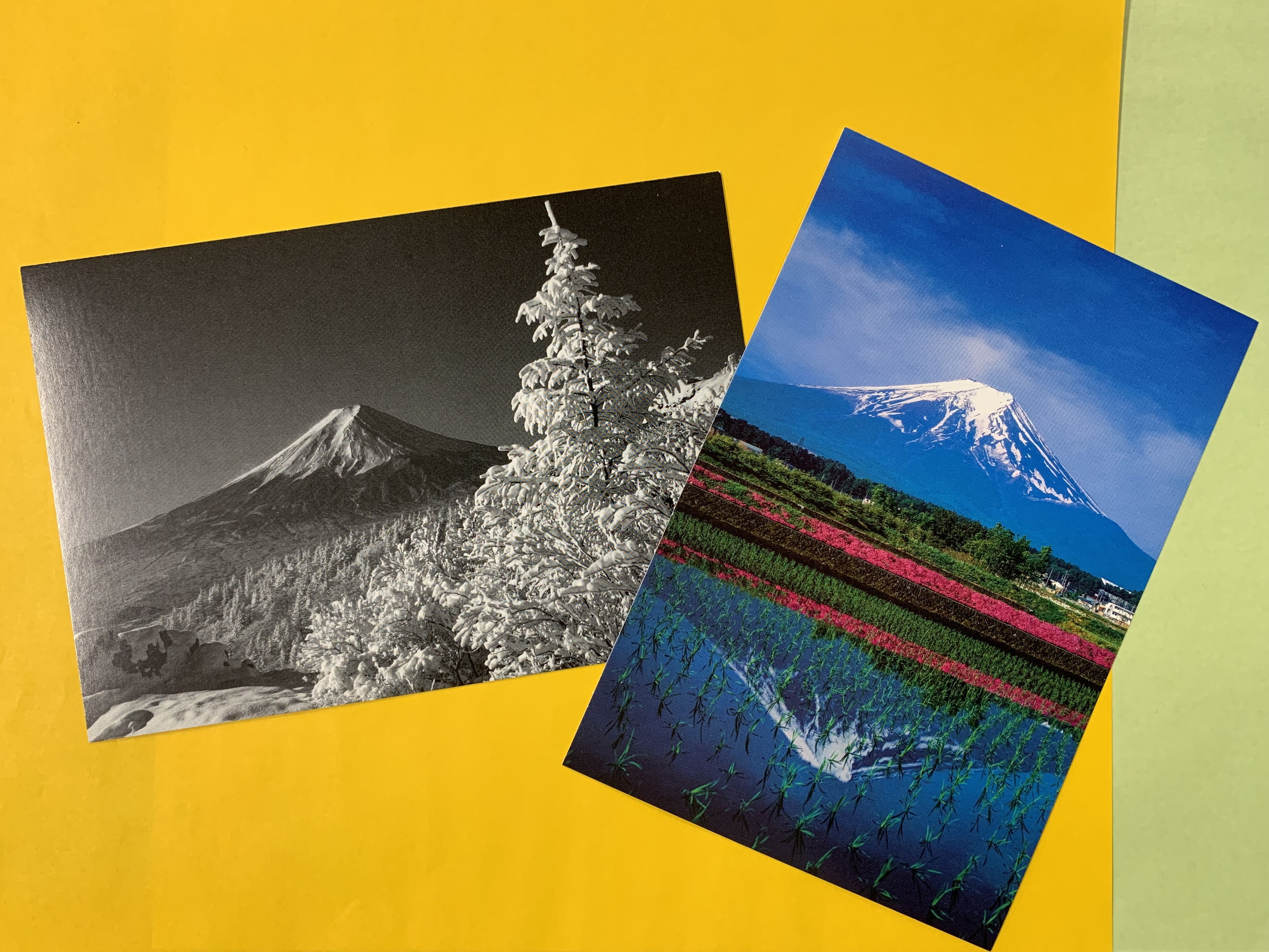 ふじさんミュージアム【オリジナルポストカード進呈】 | JAFナビ