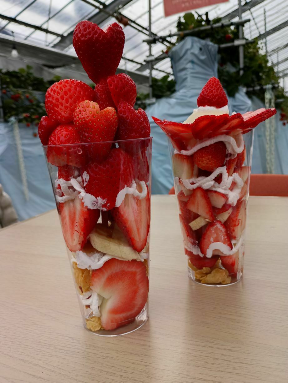 JAFデー「いちごパフェ作り体験」inはなのかファーム | JAFナビ
