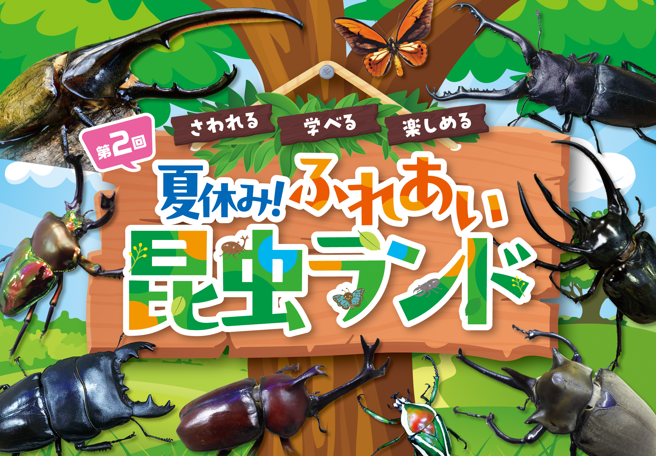昆虫フィールド 16冊 第2回 夏休み！ふれあい昆虫ランド【特別価格でチケット販売】 | JAFナビ
